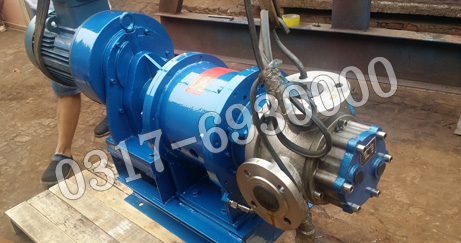 NYP10保温磁力齿轮泵