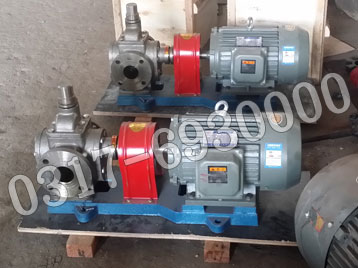 YCB4-0.6不锈钢齿轮泵